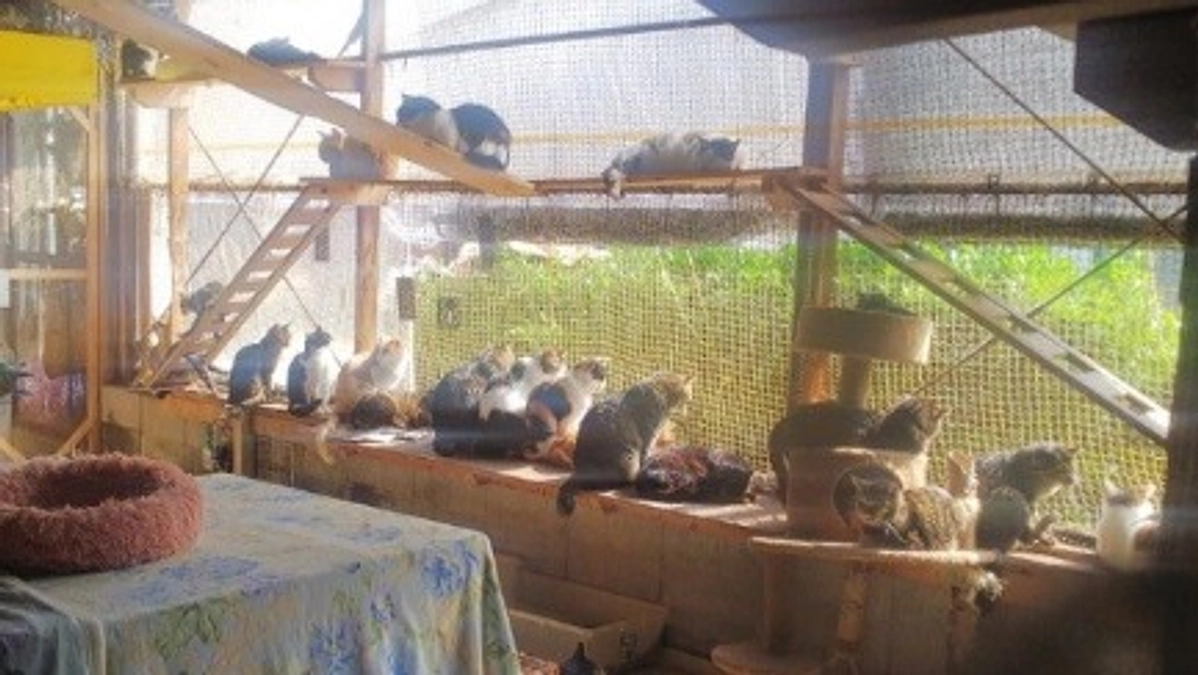 【あと210万円！】残り25時間ほど！皆様へ代表より最終日への意気込みです！