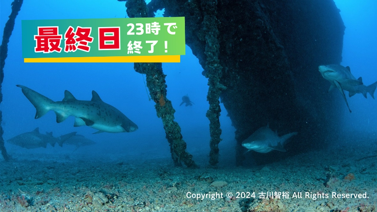 【本日最終日！】クラウドファンディングの終わりは、皆様と歩む活動のはじまり