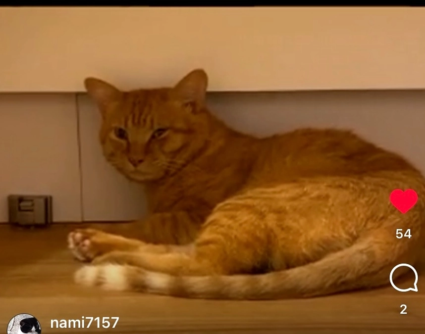 インスタライブを終えました！