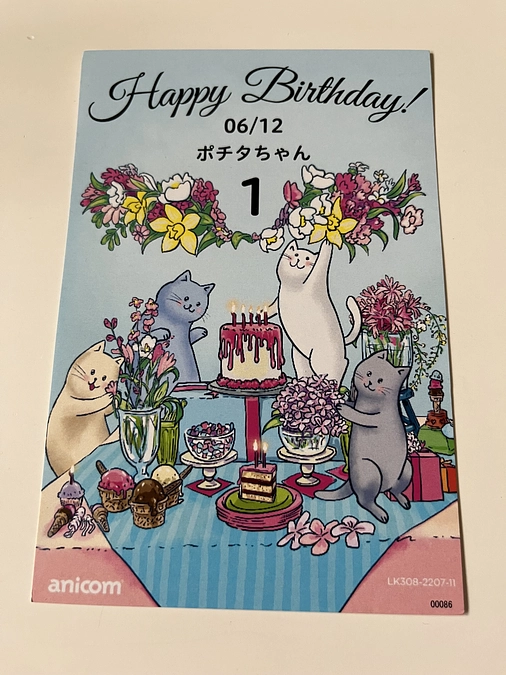 ６月１２日はポチタの１歳の誕生日です。
