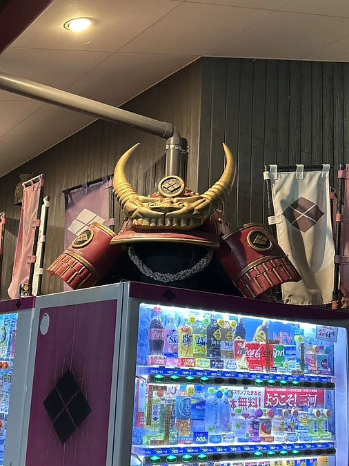 遠方から・・・