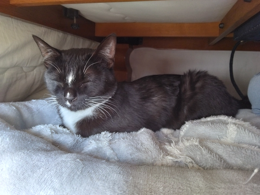 2/23はなちゃんの様子