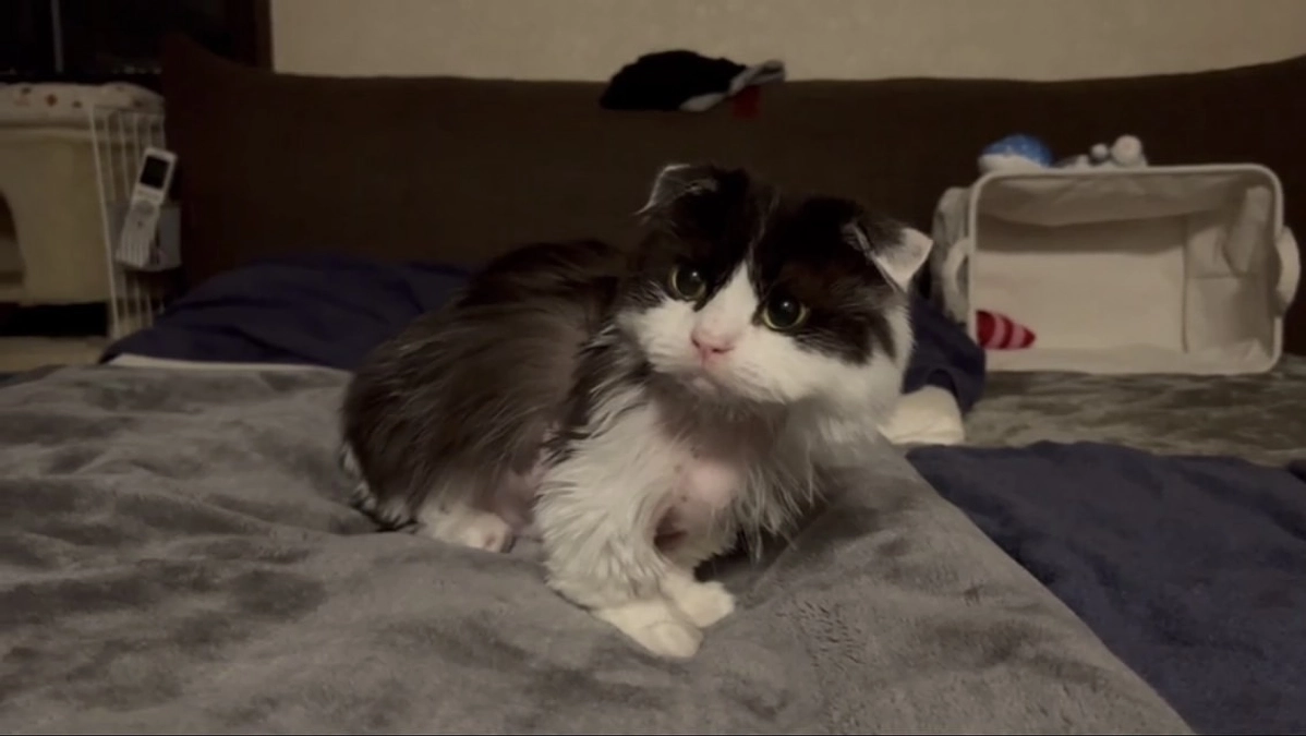 10/20のテオくんの様子