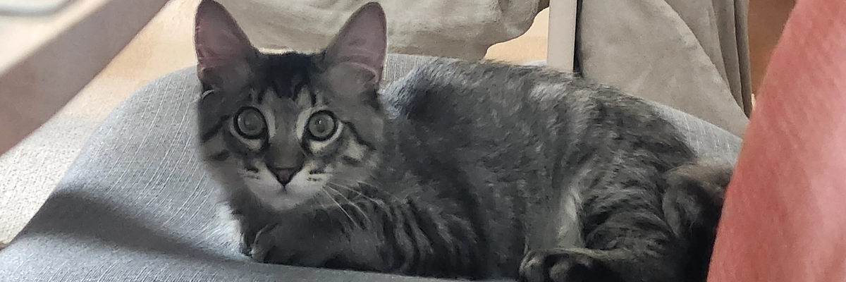 掲載から1週間たちました