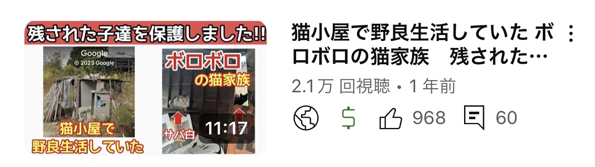 残されていた子を無事保護しました