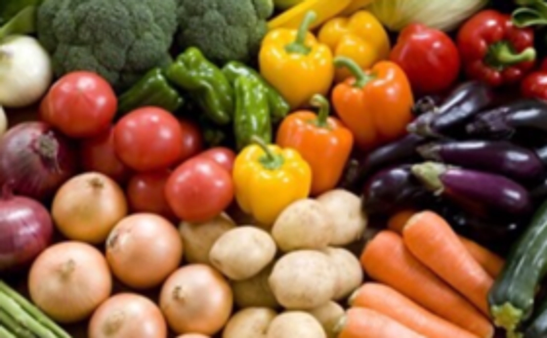 無農薬季節の野菜とドレッシングのセット