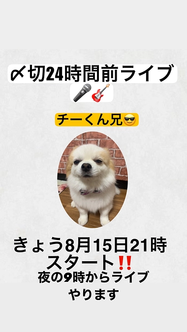 15日21時インスタライブ配信します