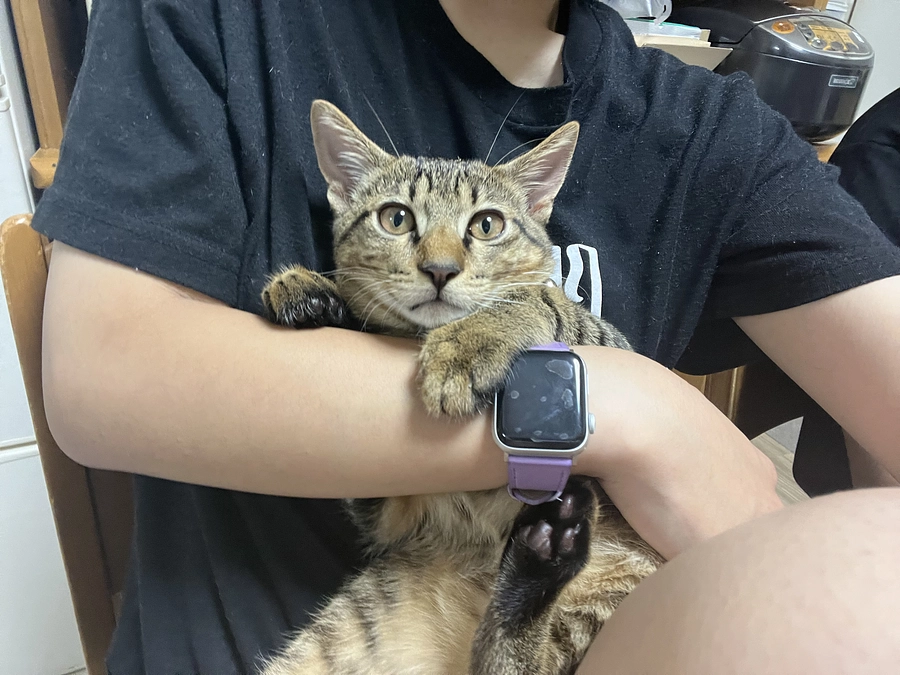 8月6日 通院結果＋血液検査結果 のご報告です