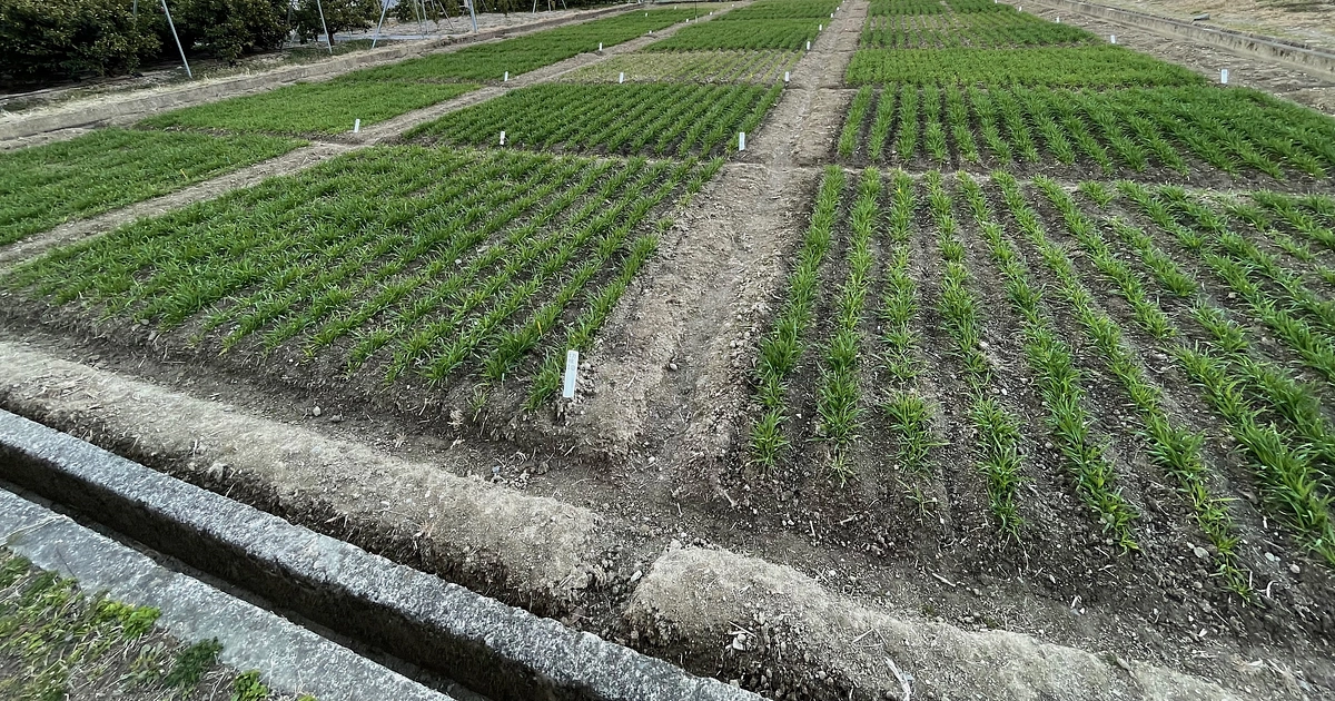 新潟の降雪と講演会へ