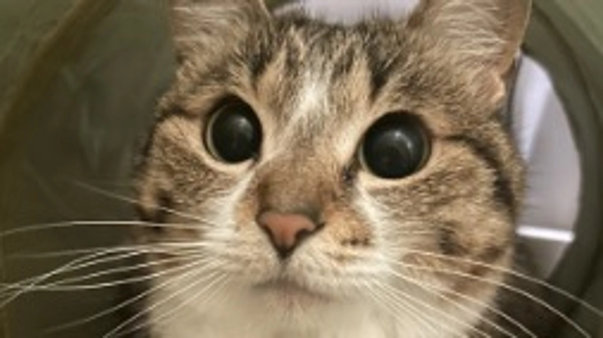 １週間経過報告。