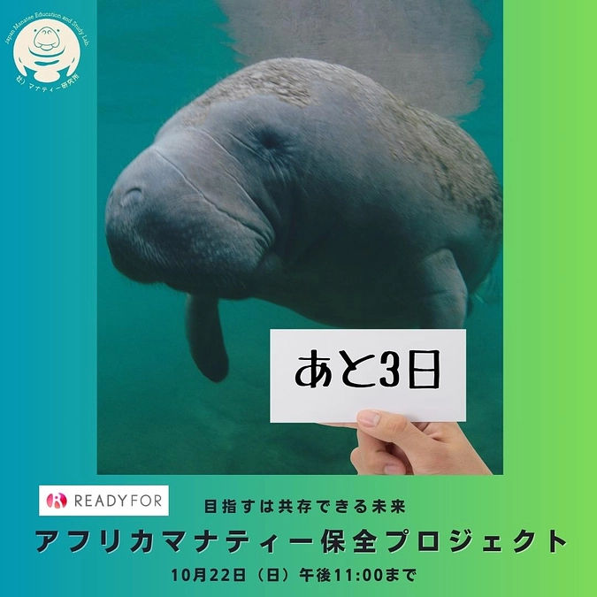 あと3日！ネクストゴール目前！