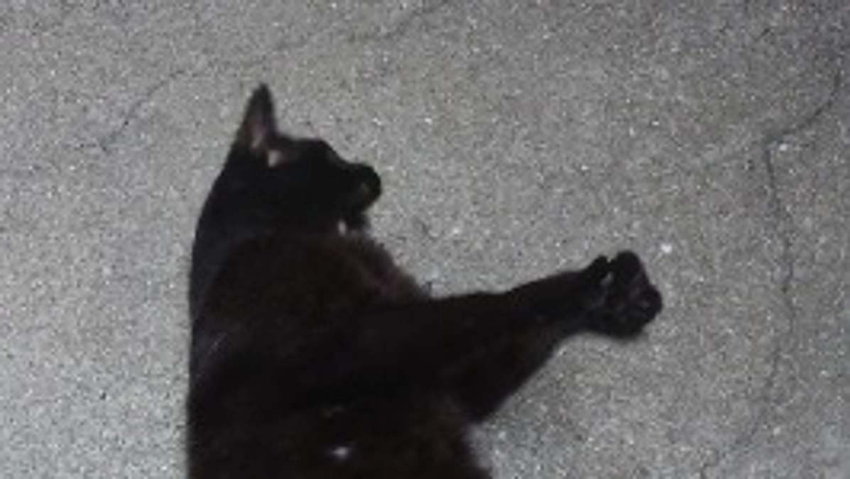 支援金での購入品2