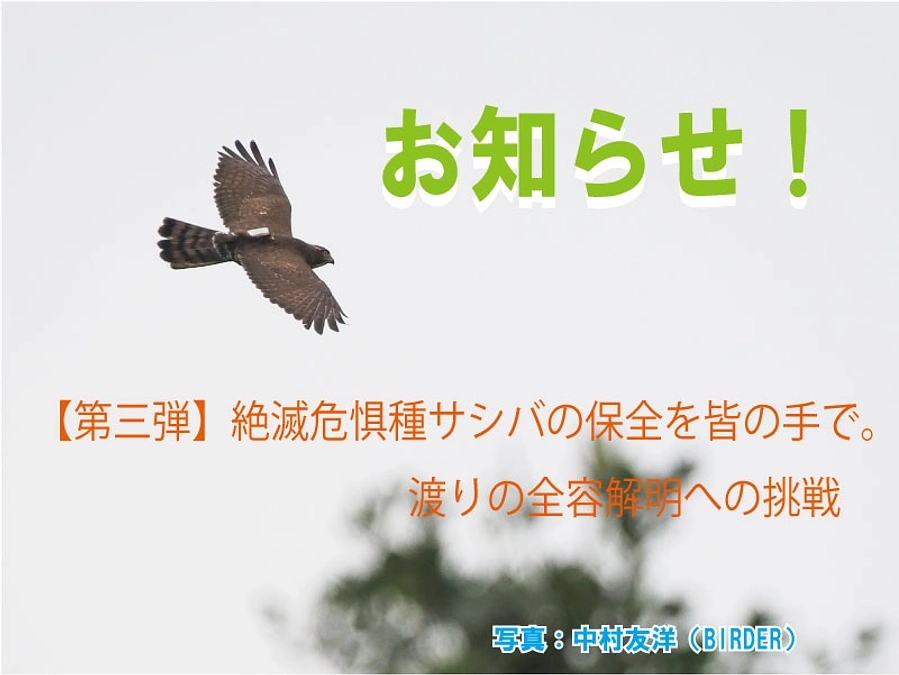 クラウドファンディング第三弾のお知らせ