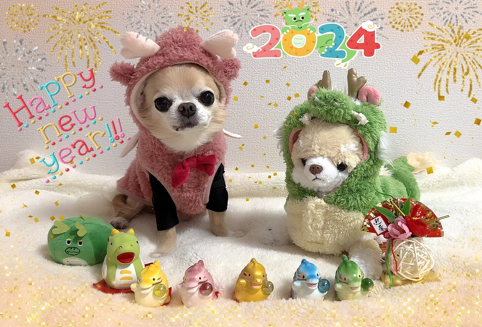 今年も よろしくお願いいたします