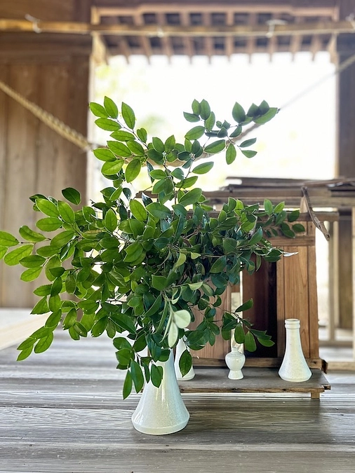 『長田神社｜社殿再建プロジェクト』第２弾へのご支援のお願いに上がりました。