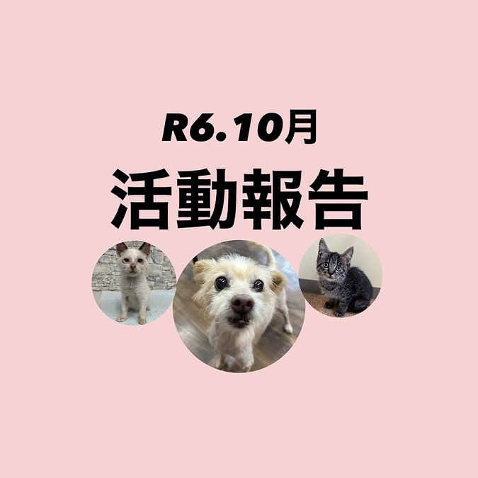 R６．１０月活動報告