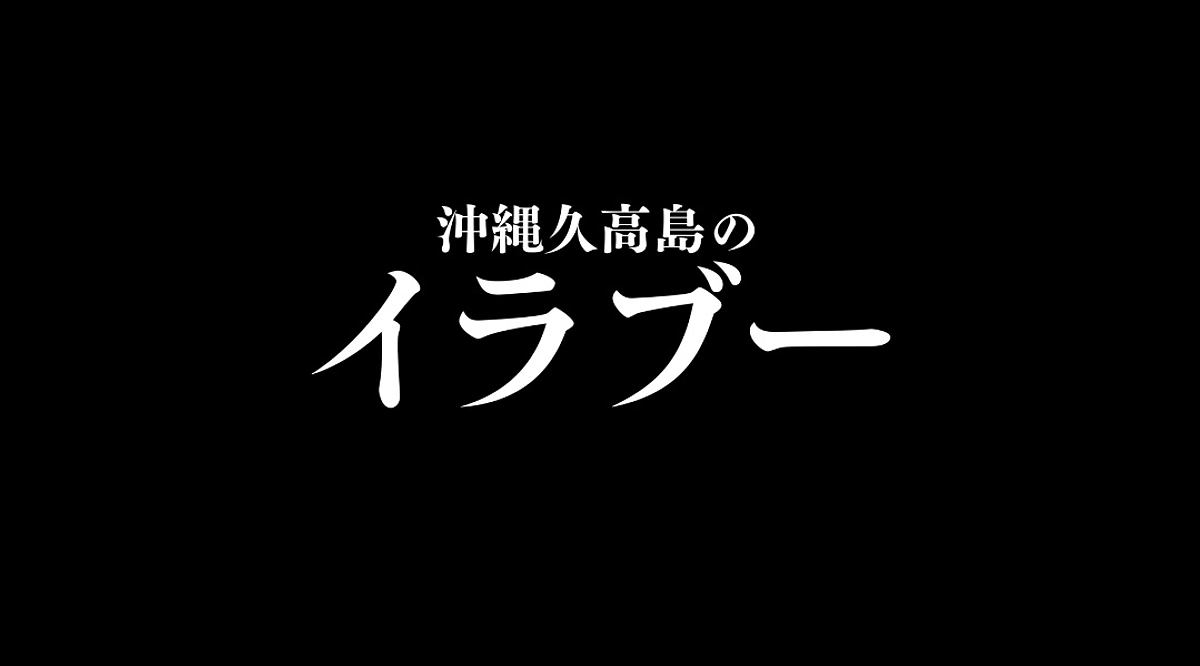 成果報告と今後のプロジェクトにつきまして