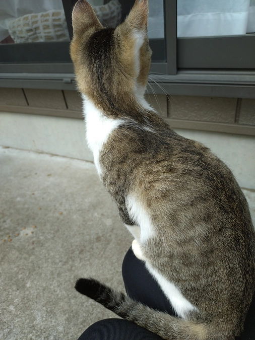 プロジェクト掲載終了