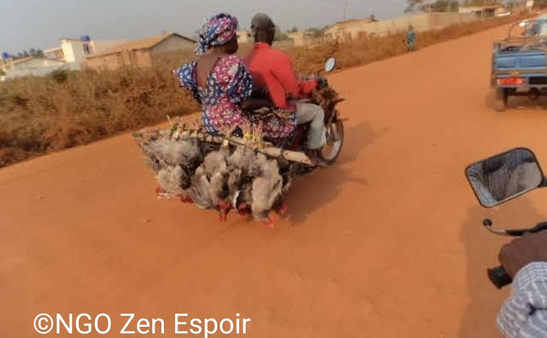 感謝のメール　報告メール