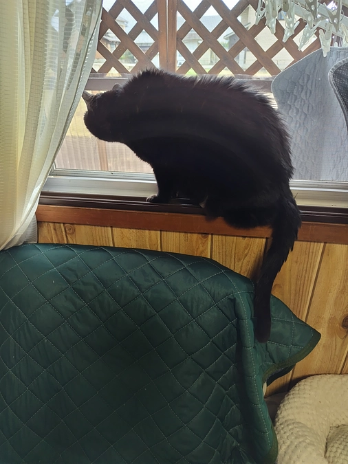 おはようございます😊