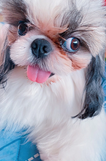 実行委員ミーティング