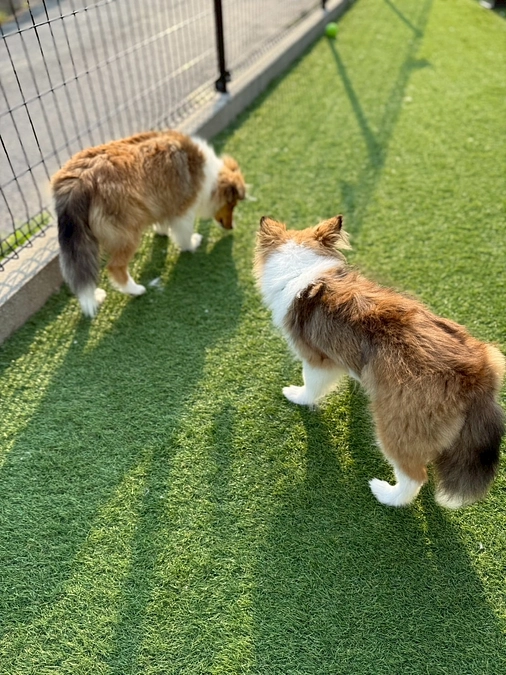 2025.5月の活動報告*