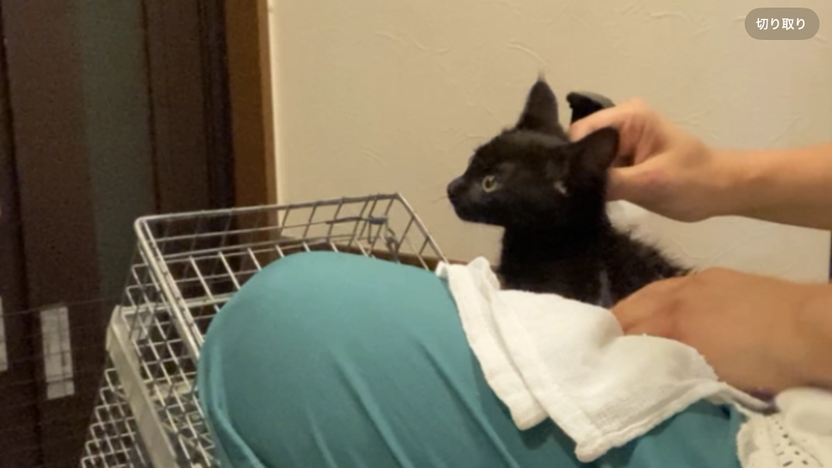 挑戦14日目‼️