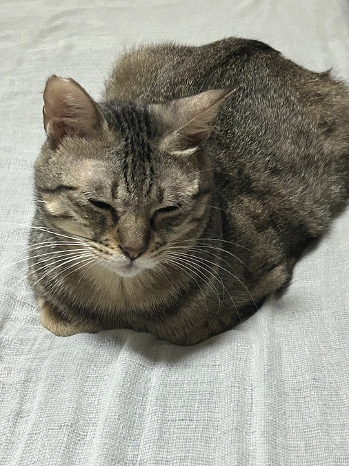 直近のご報告と9月の予定について