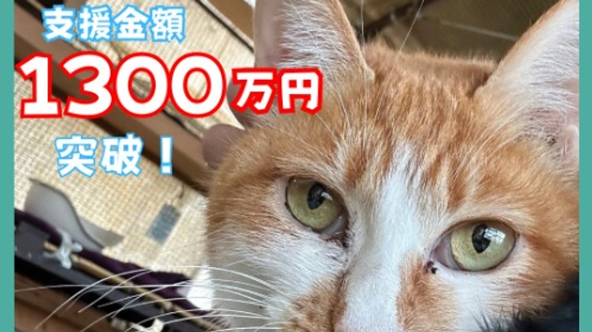 【ありがとうございます！！1300万円突破！】佐賀新聞さんに掲載いただきました！