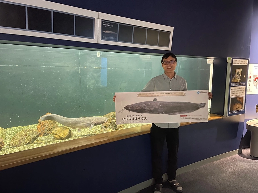 特別感謝状（ビワコオオナマズ実寸大ポスター）を郵送しました！