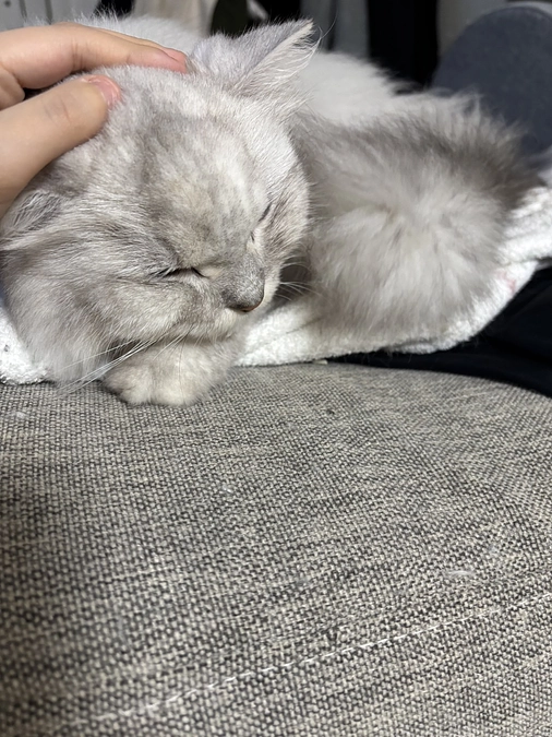 ドキソルビシン