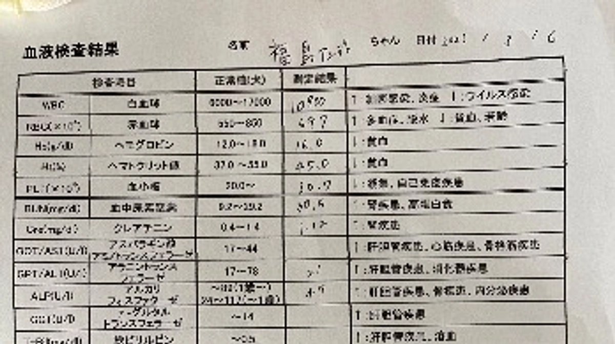 🆘残り12日🆘受診報告です