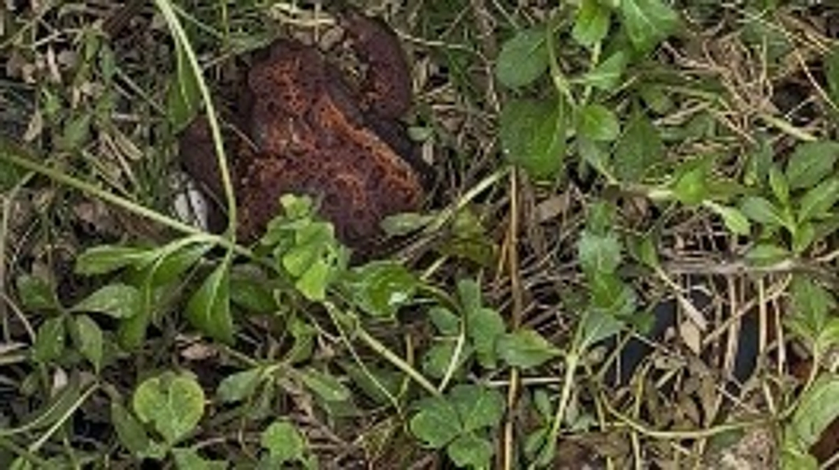 奇跡のような贈り物 ～クラウドファンディング直前の出来事～