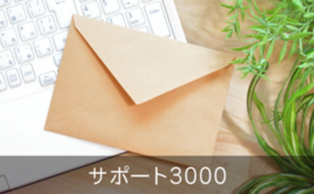サンクス&活動報告メール（サポート3000）