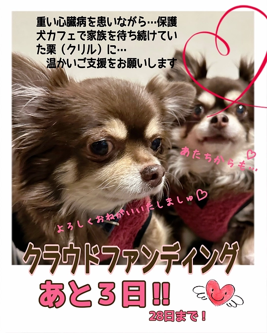 2024/1/25   残り3日　達成率62% となります‼︎