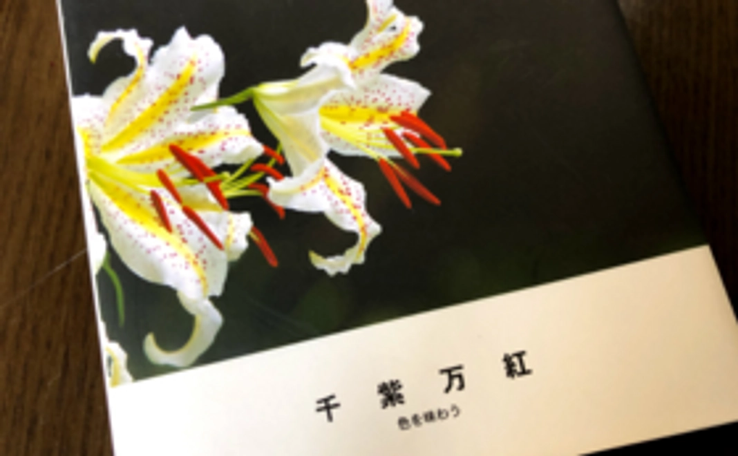 ミニ写真集（カメラマンの父が作成したもの）