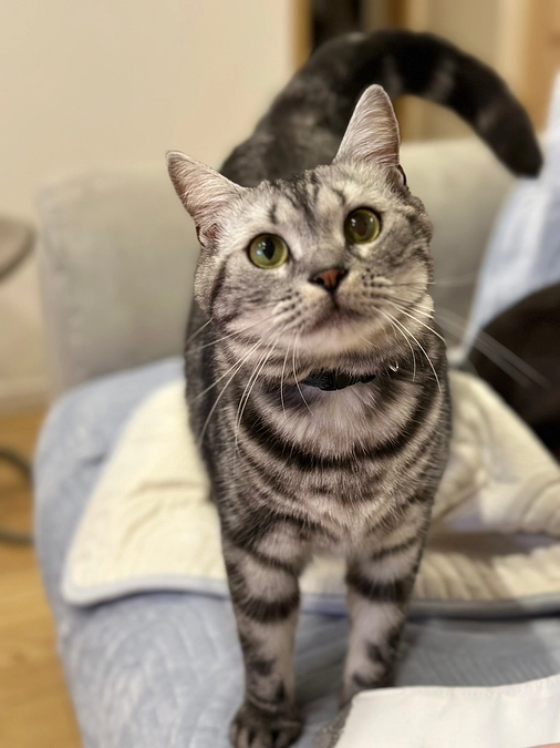 11/7リターン送付中です