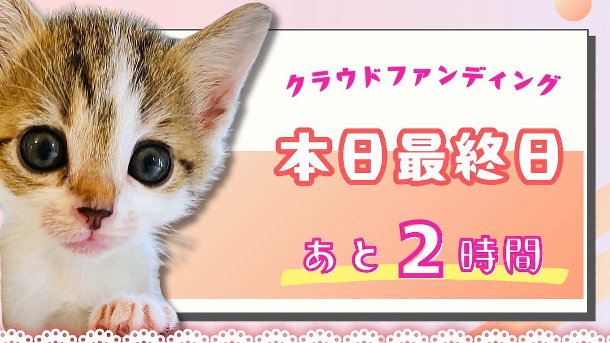 カウントダウン ＼終了まで残り2時間！／本日23時まで