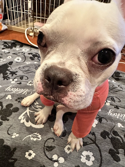 残り1日となりました