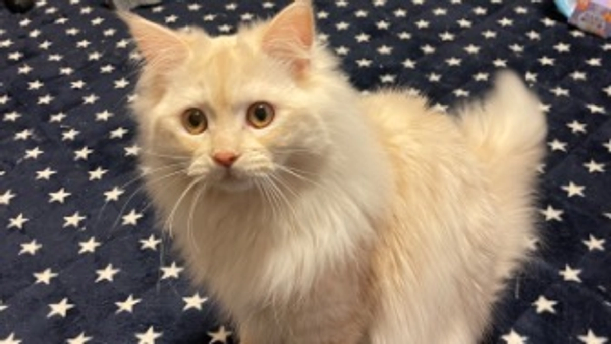 今日のトキ☀️🍃