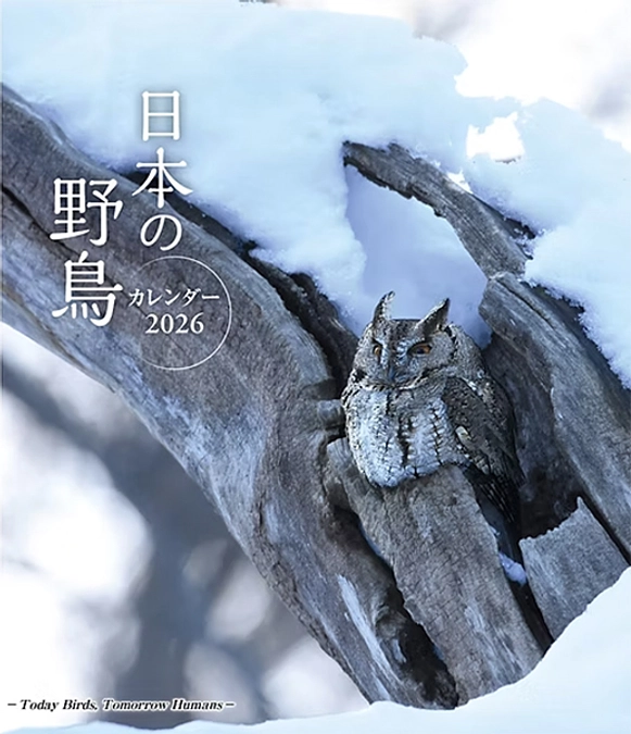 リターンのご紹介　カレンダー