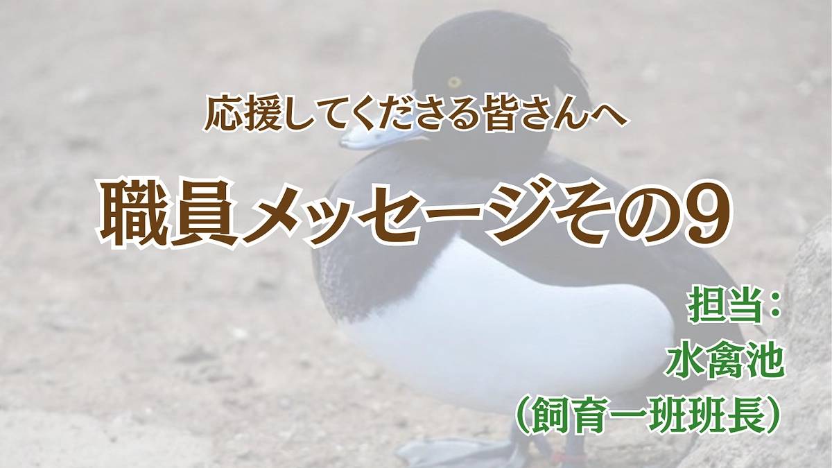 未来へ紡ぐゴリラプロジェクト〜職員から皆様へのメッセージ⑨〜