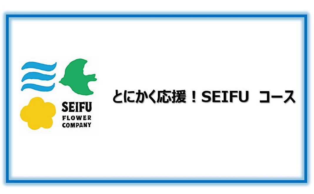 【リターン不要の方向け】とにかく応援！SEIFU コース