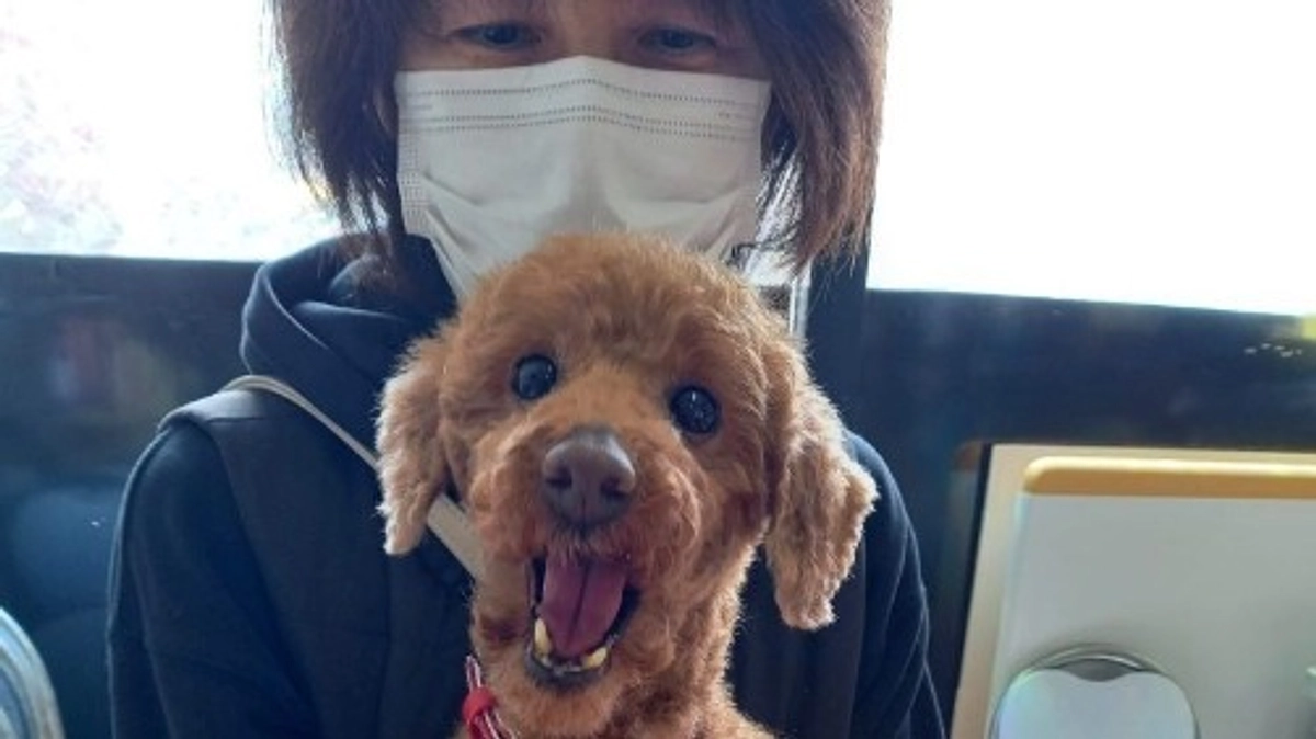 【届いてほしい！】シニアドッグ・サポーター制度とネクストゴールにかける想い（後編）