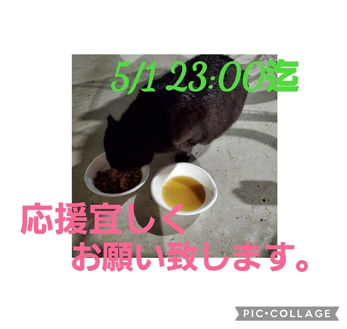 プロジェクトについて。