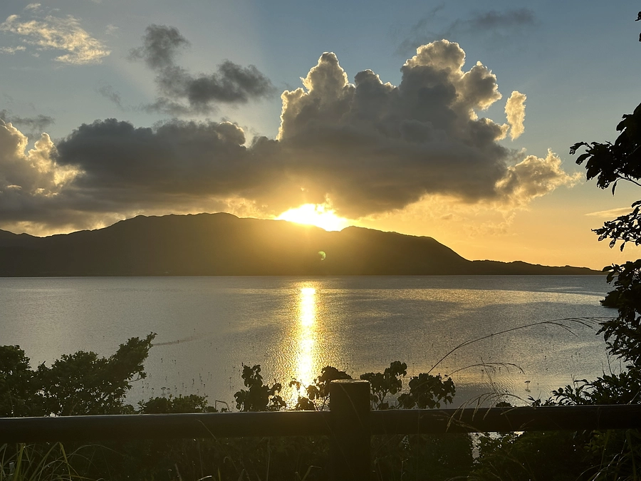 『神さまとムッカラの鳥』に登場する六羽の鳥について（１）