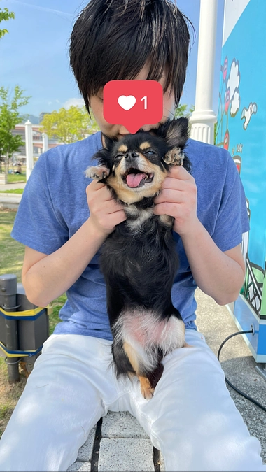 クラウドファンディングも残り24日になりました。