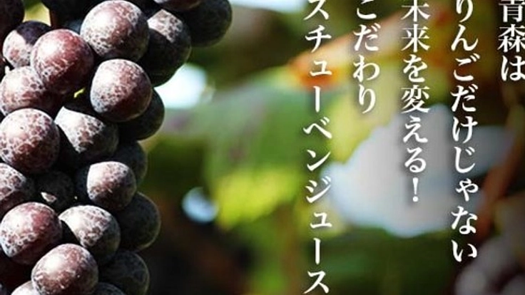 高級品種のブドウ・スチューベンで青森県を盛り上げたい！