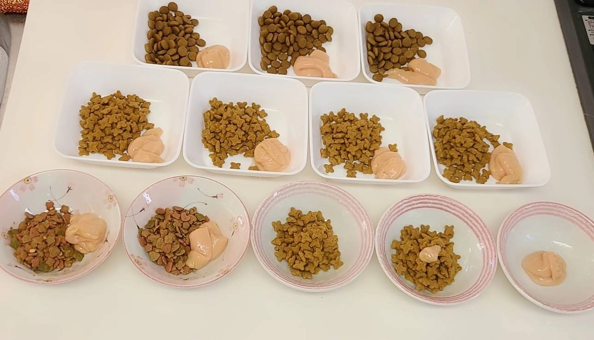 【残り9日となりました💐】ご飯のご支援の御礼と、応援コメントのご紹介（3）