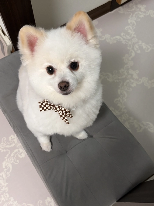 目標額達成とネクストゴール設定について